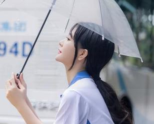 Xiuren秀人网 – 星星baby带你领略豹纹之美，在线合集不怕喷！