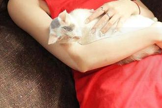 推女神 – 偏爱晓艾fafa的私房写真，每张都在透出不经意的日常美感。
